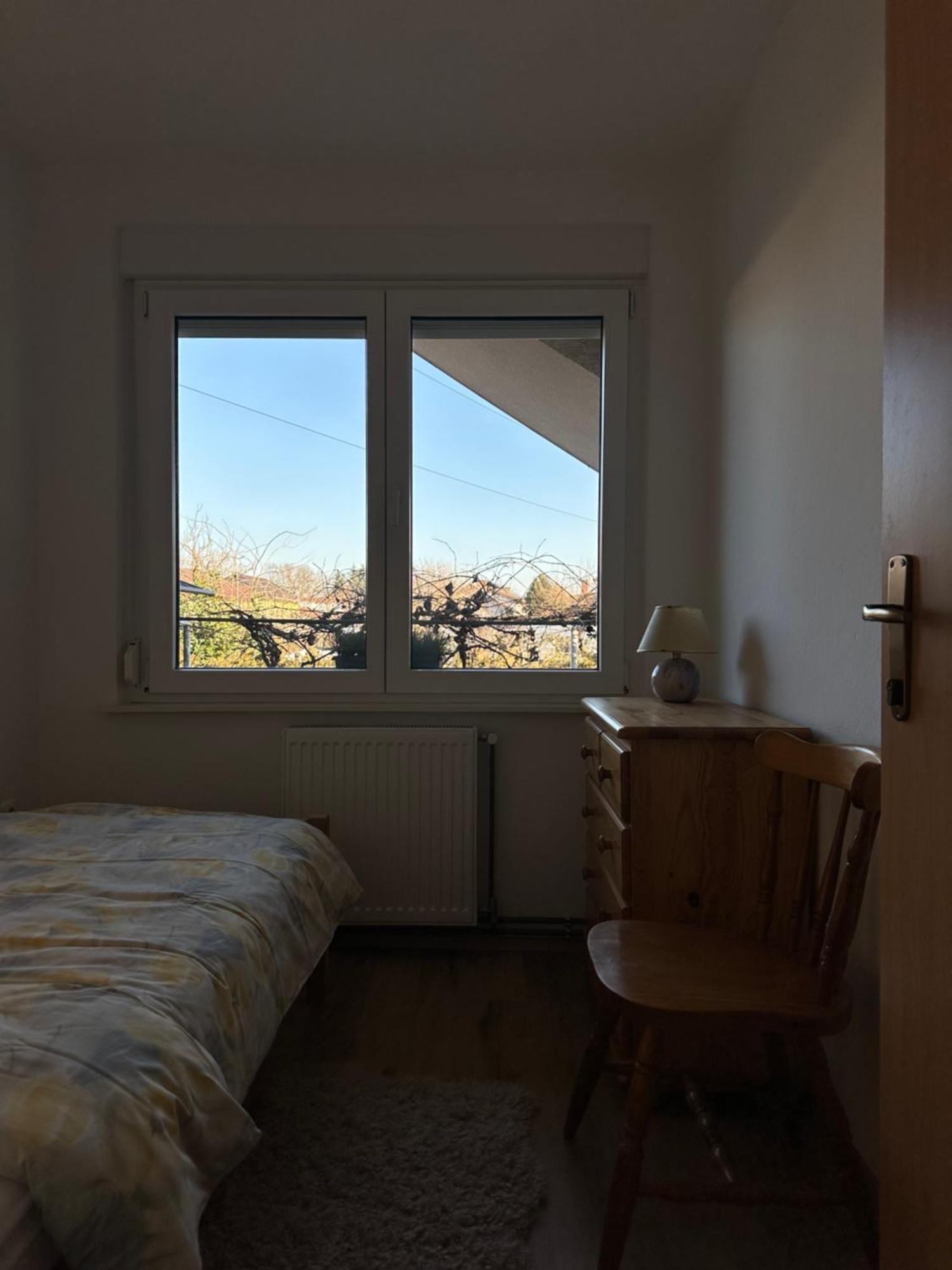 Vanessa Apartment Любляна Экстерьер фото